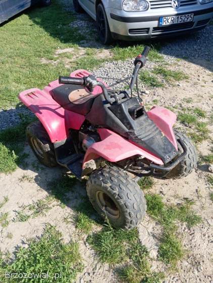 Quad 50
