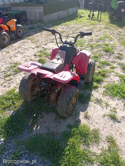 Quad 50