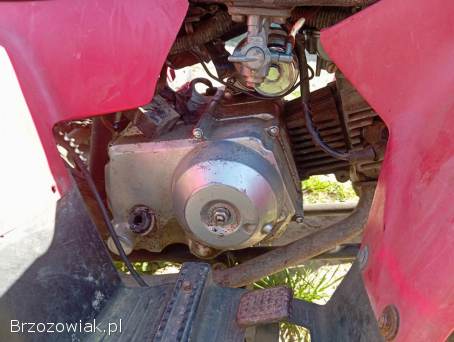 Quad 50