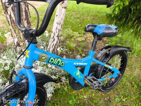 Rower 16 Dino