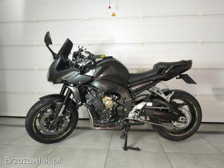 Yamaha FZ 2010