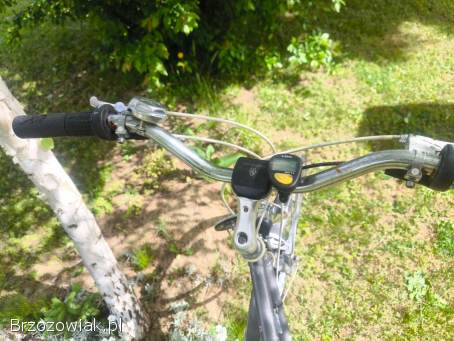 Rower trekkingowy dla wysokiej osoby