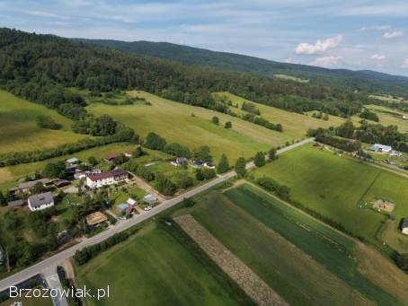 Sprzedam mieszkanie Kotań