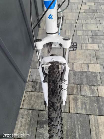 Rower Kross Lea 1.  0 koła 26cali