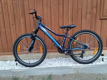 Rower Kross 24 cale