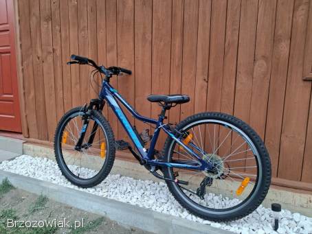Rower Kross 24 cale