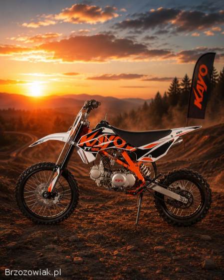 KAYO 125 TT NOWY 2026 14/17 Pit bike MRF 2000