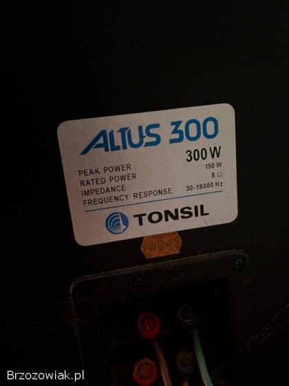 Kolumny Tonsil altus 300