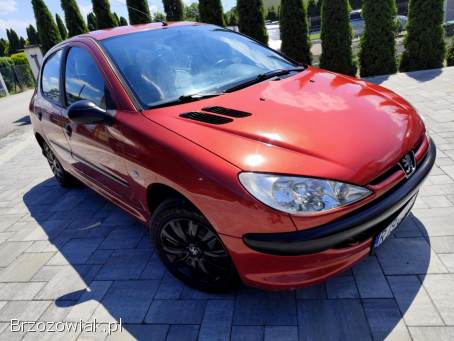 Peugeot 206 Lift 1.  1  2004