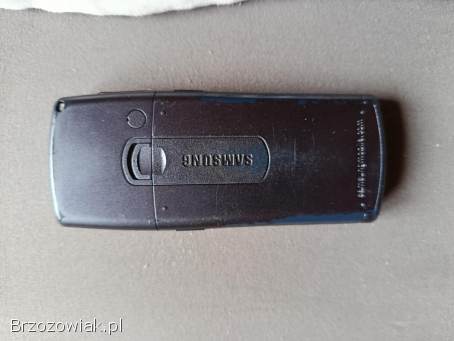 Telefon Samsung SGH C110