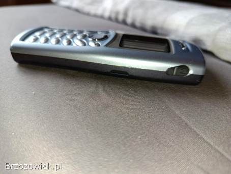 Telefon Samsung SGH C110