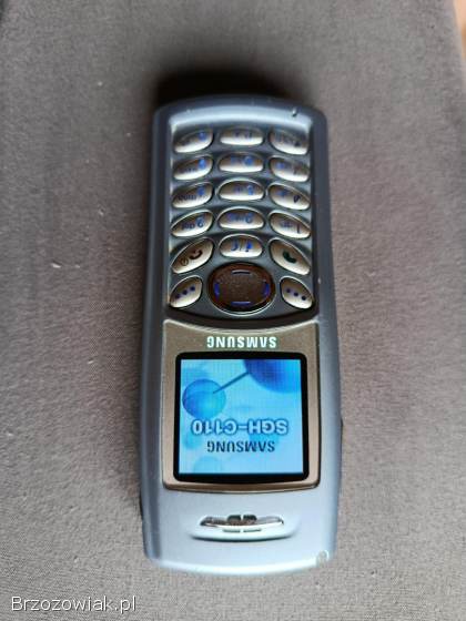 Telefon Samsung SGH C110