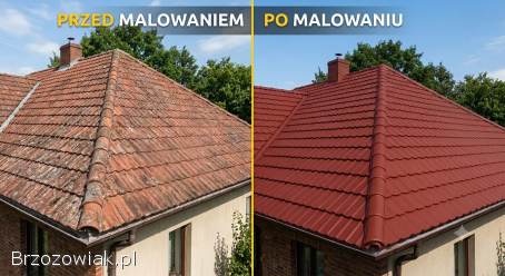 Malowanie dachów,  mycie i czyszczenie
