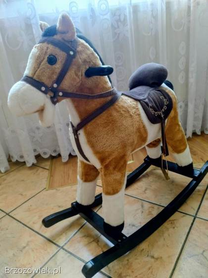 Konik na biegunach
