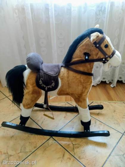Konik na biegunach
