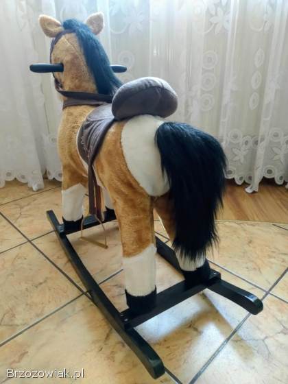 Konik na biegunach