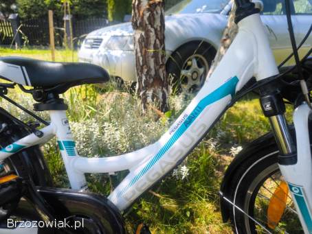 Rower dziecięcy Pegasus Avanti na kołach 20