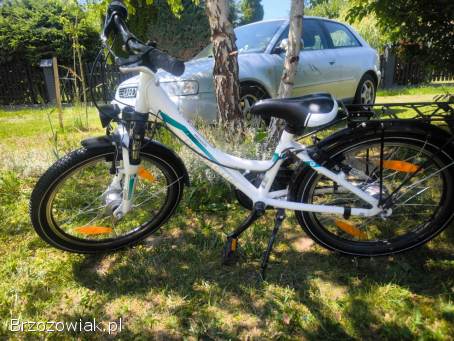 Rower dziecięcy Pegasus Avanti na kołach 20