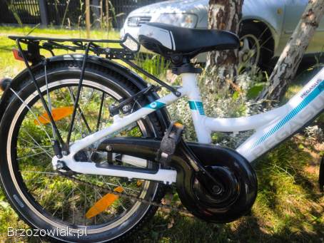 Rower dziecięcy Pegasus Avanti na kołach 20