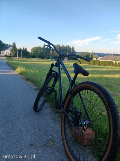 Rower NS Metropolis 3 dirt