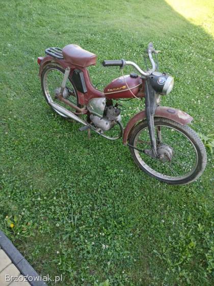 Komar 2350 1971