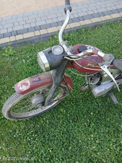 Komar 2350 1971