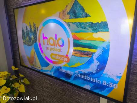 Telewizor 48 Samsung UE48JU6000 4K Uszkodzone (Białe punkty)