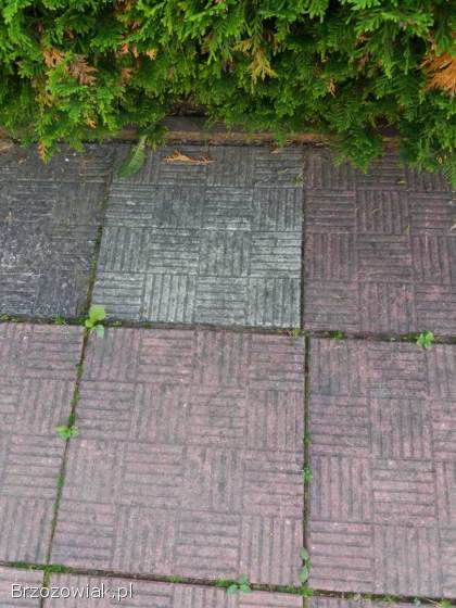 Czyszczenie kostki brukowej