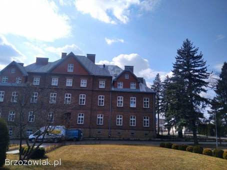 Renowacja dachów/elewacji oraz wszystkie prace alpinistyczne