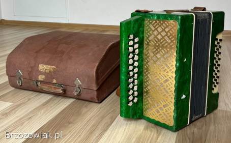 Bayan,  heligonka,  garmoń (гармонь)
