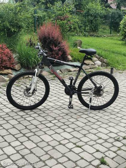 Rower Kross hexagon v6
