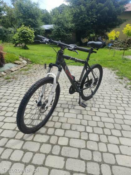 Rower Kross hexagon v6