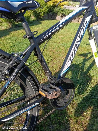 Rower Kands Leopardo