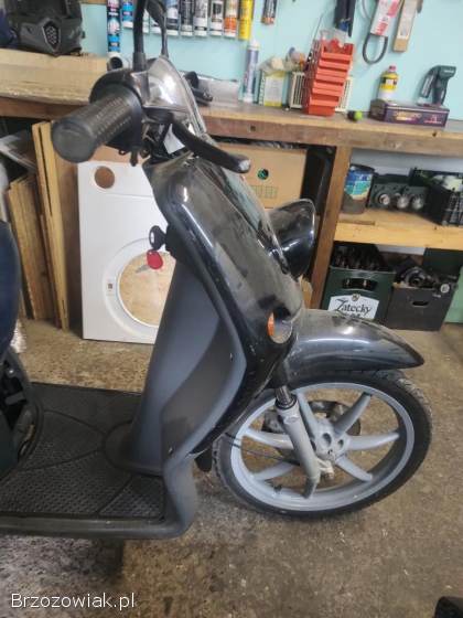 Benelli Pepe 1999