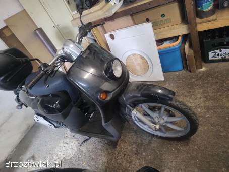 Benelli Pepe 1999