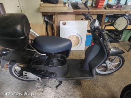 Benelli Pepe 1999