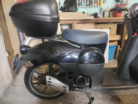 Benelli Pepe 1999