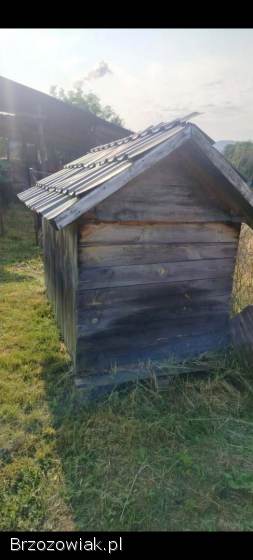 Sprzedam budę dla psa
