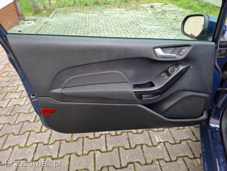Ford Fiesta MK8 Benzyna 1.  1 2018