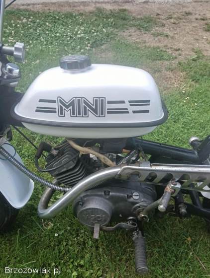 Mini Riga  Mini  Mini  1987