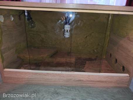 Terrarium.