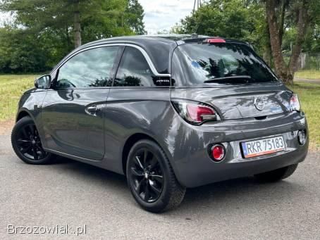 Opel Adam 2013