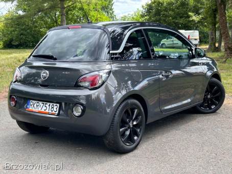 Opel Adam 2013