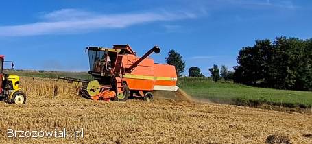 Kombajn zbożowy Dronningborg D4000 Hydrostatic
