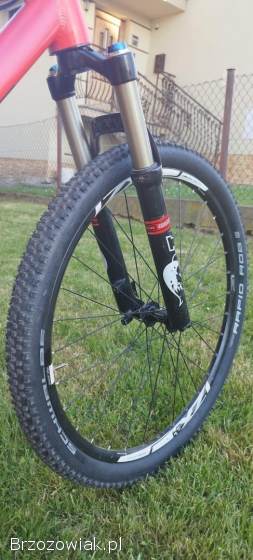 Dirt Fox 32 XT Singlespeed Reverse Kellys Whip super lekki