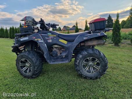 Kawasaki Brute force 650