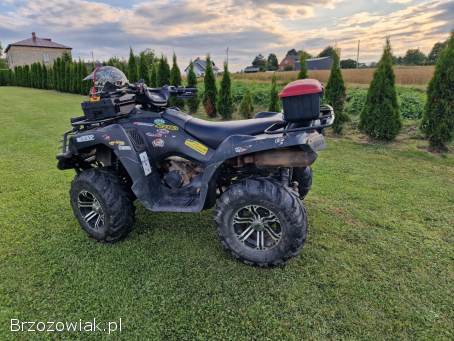 Kawasaki Brute force 650