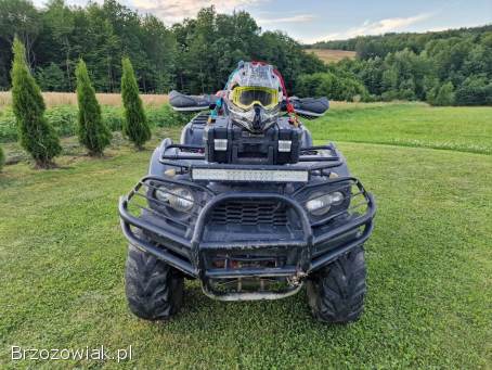 Kawasaki Brute force 650