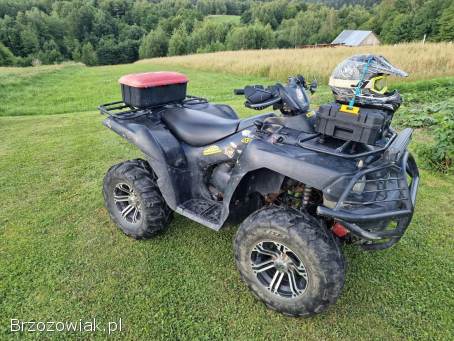 Kawasaki Brute force 650