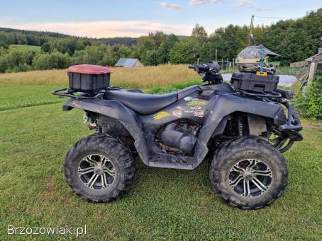 Kawasaki Brute force 650